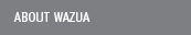 About Wazua